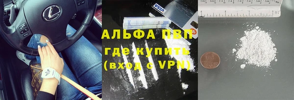 прущие грибы Кинешма