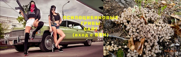 стафф Касимов