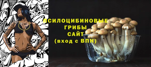 молекула духа Балахна