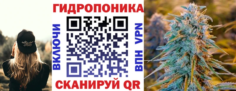 хочу наркоту  Ельня  МАРИХУАНА White Widow 